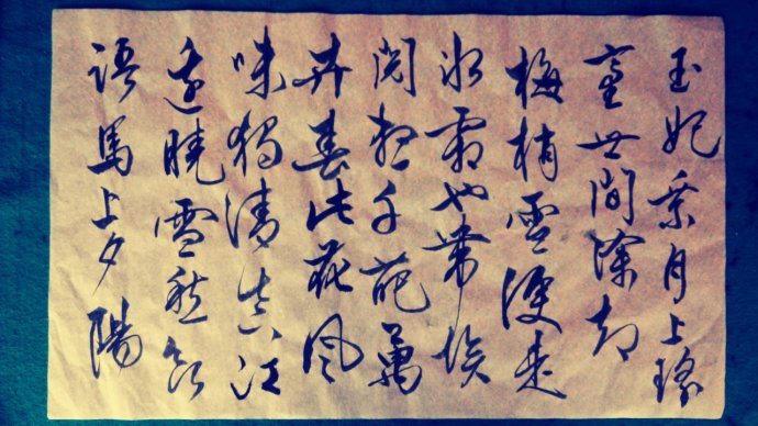 文徵明《梅花诗》·老权