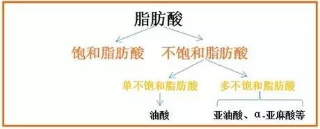 根据结构的不同,脂肪酸的分类如下图↓按不同脂肪酸含量来分类大体