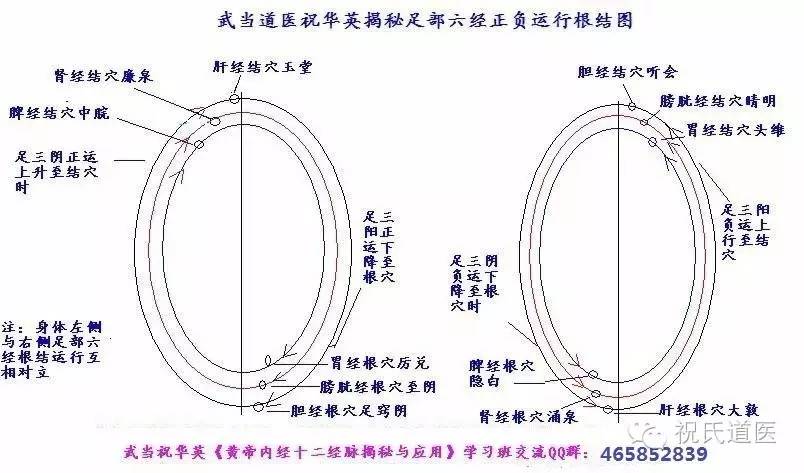 武当著名道医祝华英揭秘十二经脉运行玄秘图