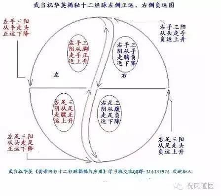 武当著名道医祝华英揭秘十二经脉运行玄秘图