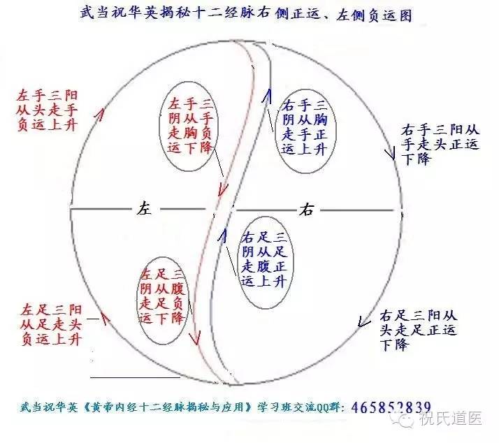 武当著名道医祝华英揭秘十二经脉运行玄秘图