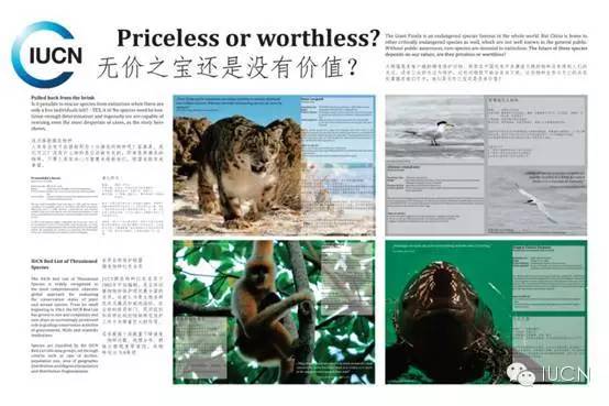 【知乎】iucn濒危物种红色名录