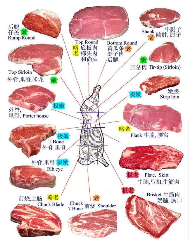 牛肉的部位图解与做法