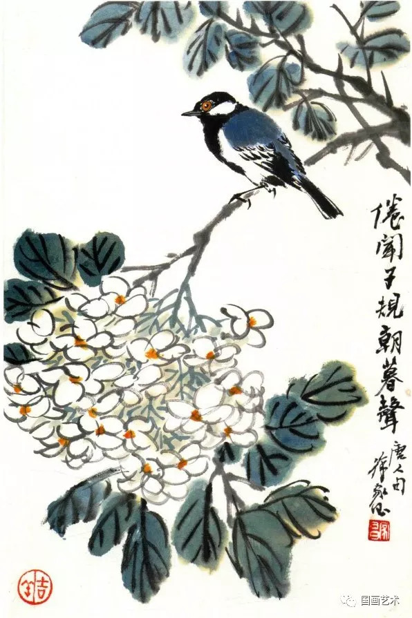 子规 绣球花