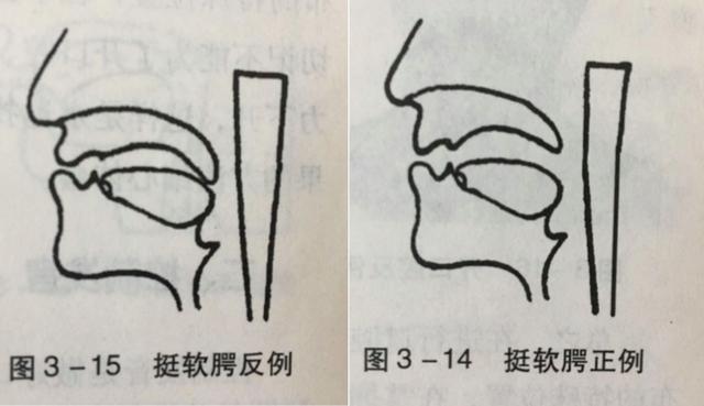 可以对照着镜子,观察挺软腭时口腔后有一个小舌头,用它和舌体后部的