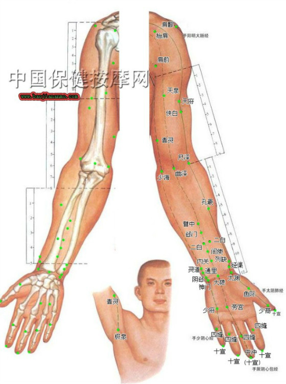 特清晰版人体穴位图石关阴都腹通谷,石关在脐上3寸,阴都在脐商曲脐上