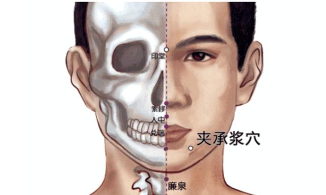 位置:夹承浆位于下颌部,在颏唇沟中点两旁开1寸处.