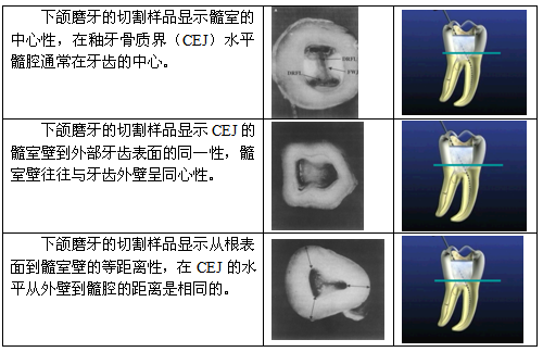 免费注册 如何使用  ( 4 )结论: ① 中心法则:髓室底通常位于釉牙骨质