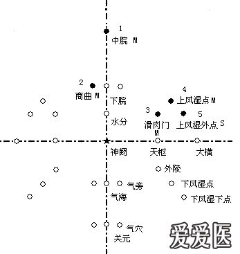 针灸腹针神龟图