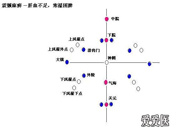 针灸腹针神龟图