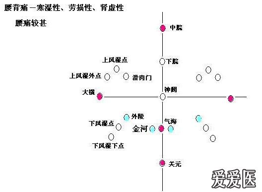 针灸腹针神龟图
