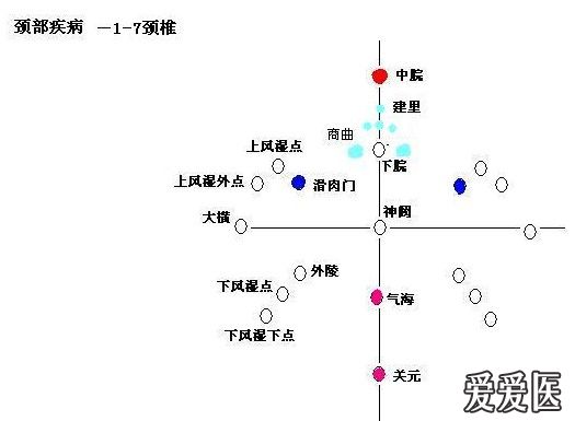 [针灸] 腹针神龟图