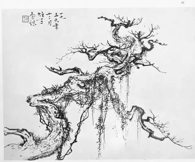 苍穹古树傲雪劲柏画法样稿图