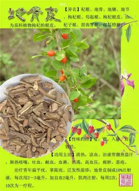 中草药大全史上最全中药图谱300种上