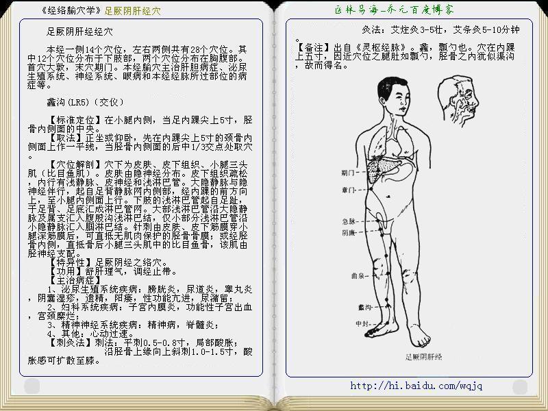 《经络腧穴学》足厥阴肝经穴图解