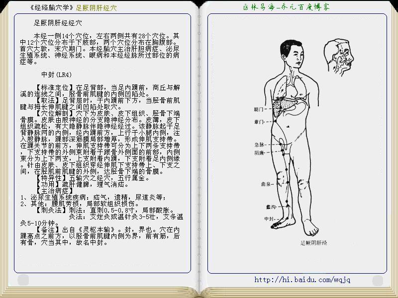 《经络腧穴学》足厥阴肝经穴图解