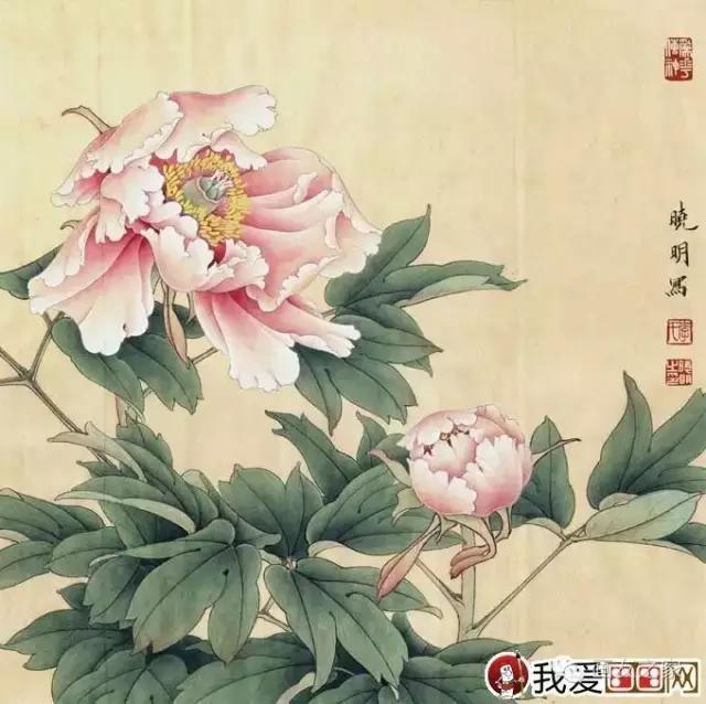 画友之家-技法篇-李晓明工笔牡丹绘画教程,棒棒的