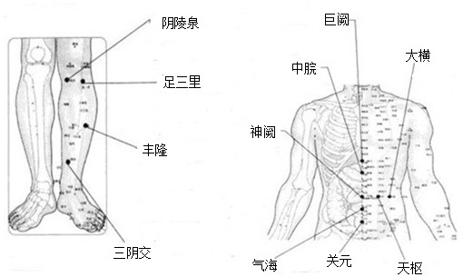 针刺拔罐减肥穴位之一 选两组穴位,第一组:中脘,天枢,关元,足三里