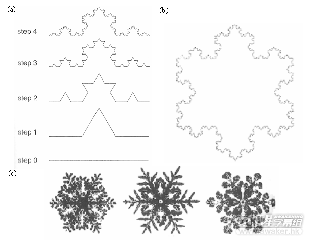 图4 (a) 科赫(koch)曲线的建构步骤; (b) 科赫雪花(koch snowflake)