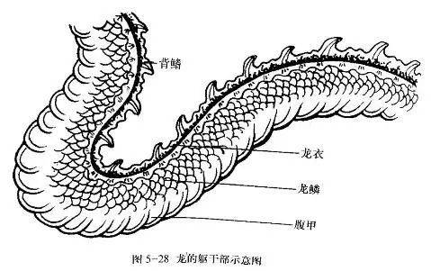 国画龙的画法步骤解析[好网角文章收藏]