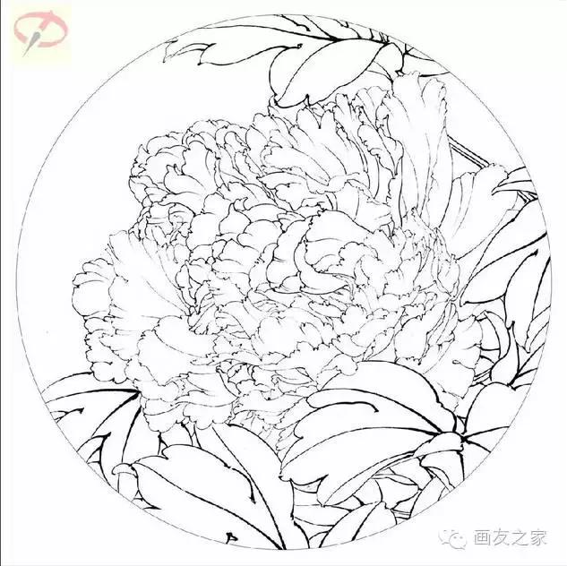李晓明工笔牡丹《二乔》设色步骤与技法,画友必看!
