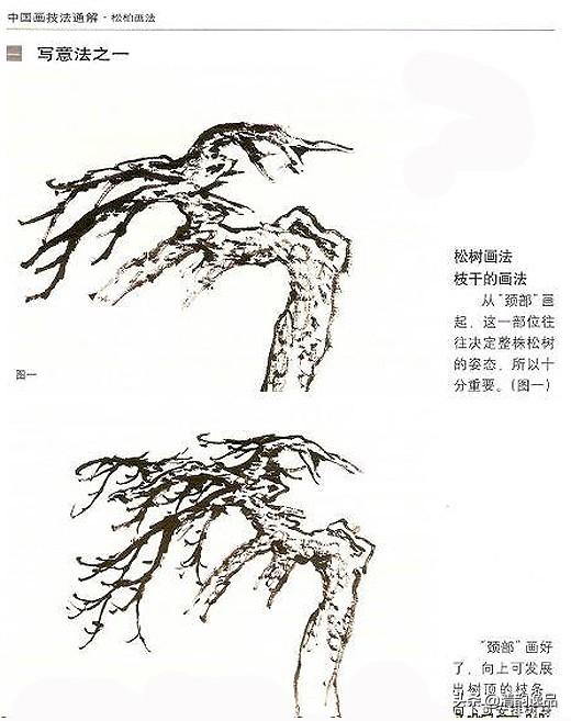 中国画技之松柏画法(一)