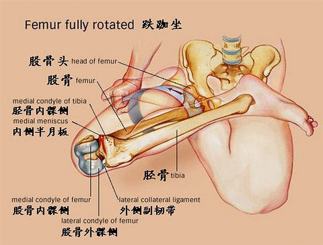 治疗下肢膝盖以下怕冷