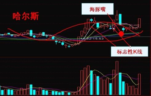 转载李易天二十大牛股必涨形态全