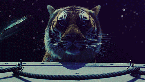 当下这一刻,每个人都坐着,感觉到了吗?看见了吗?身体正在坐着.