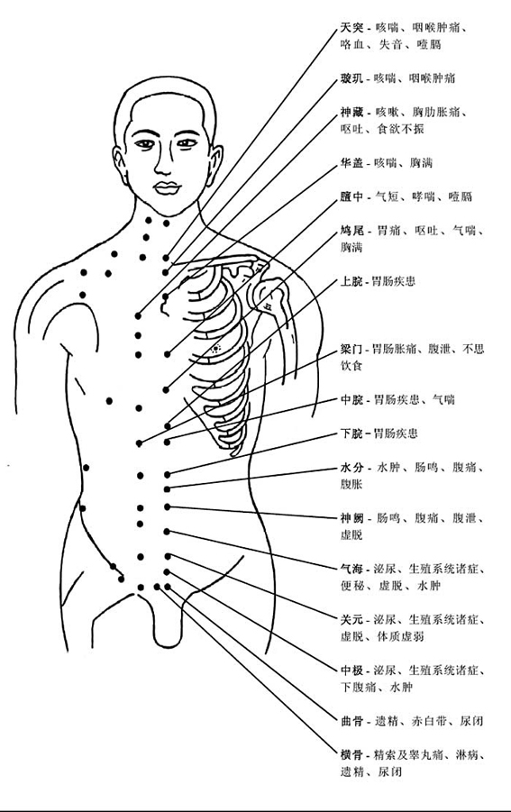 可              认识,人体穴位分布图是我国古代每个良医总结的结果