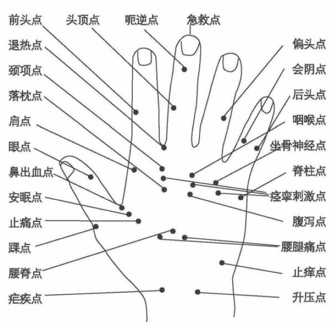 手部病理反应点-掌背图四,手部病理反应点适应症对照表三,手背反射区