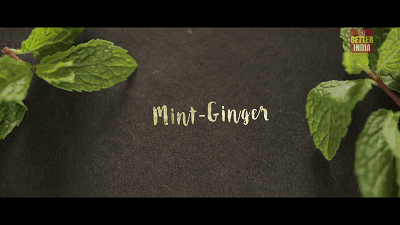 薄荷口味,胡萝卜味