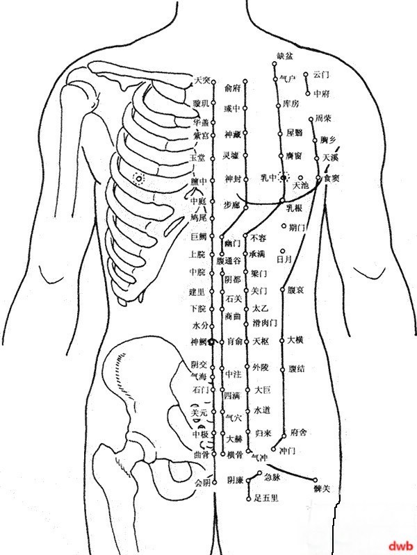 中央电视台天气预报每晚实时自动更新男女性人体经络穴位图集人体穴位