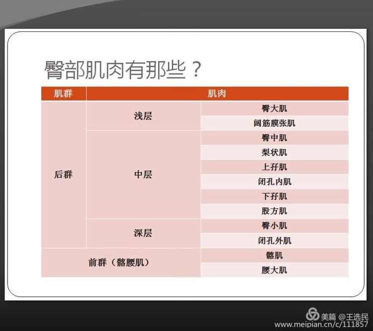 臀部肌肉的功能解剖及相关疾病的浮针治疗