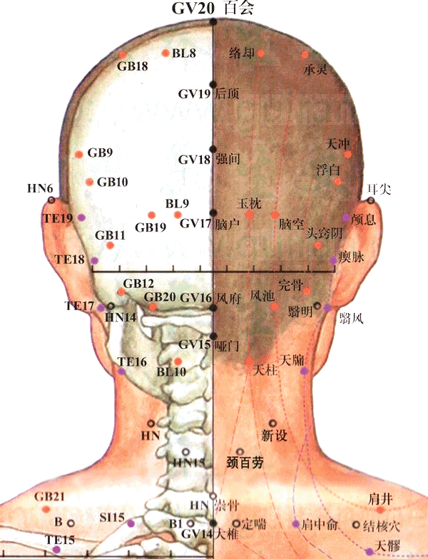 中医针灸穴位速记歌诀