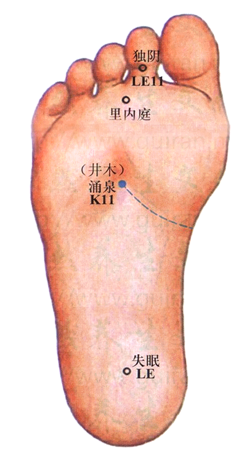 内庭中医针灸穴位速记歌诀取穴当举足,得法不为难.