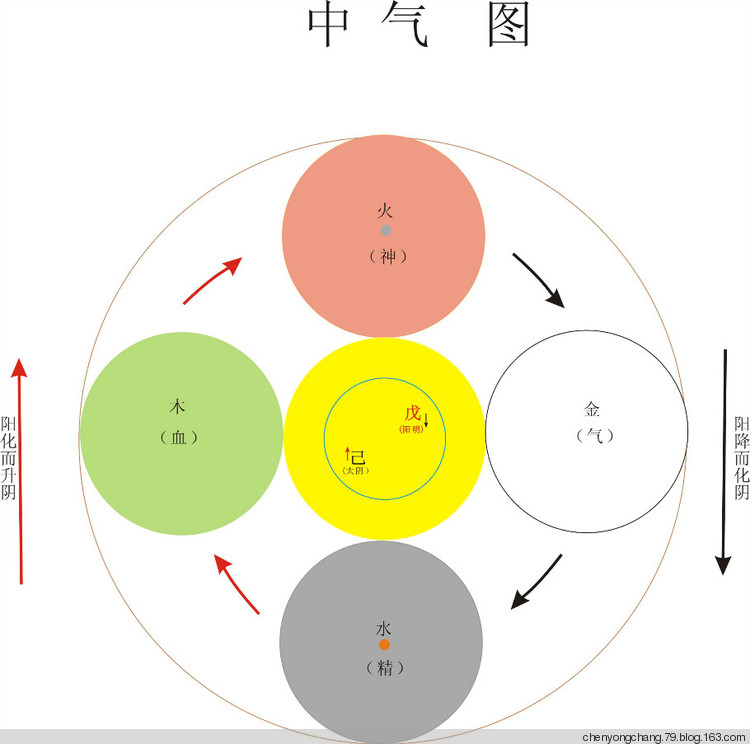 相火与君火