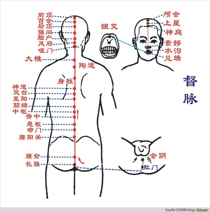 人体经络(穴位)图(12经络加任,督二脉)