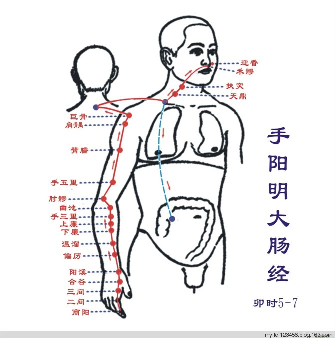 人体经络(穴位)图(12经络加任,督二脉)