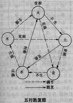 太字的五行属性