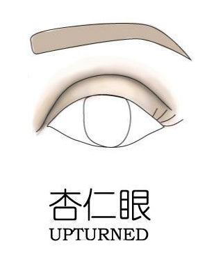 眼睛看相:各种眼型分类图解大全 好网角文章收藏