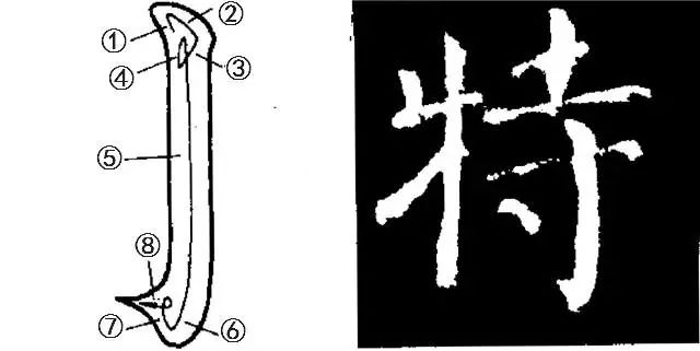 横折弯—范字【殷 竖钩—范字【特 弯钩—范字【手 斜钩