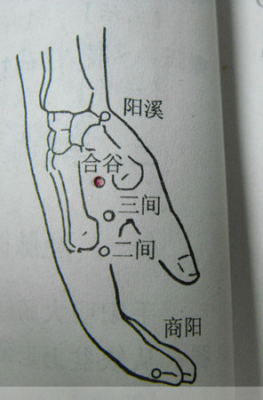 常用穴位定位图