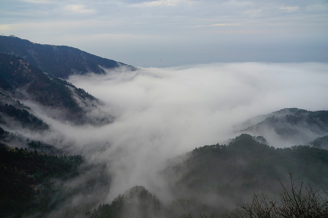 显得飘渺,神秘而绮丽 山谷里白色的雾带,像一座绵软的锦桥 山在云中飘