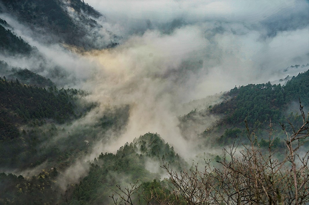 显得飘渺,神秘而绮丽 山谷里白色的雾带,像一座绵软的锦桥 山在云中飘