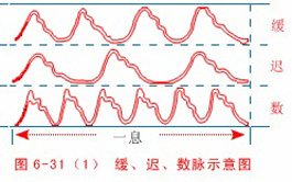 中医把脉原理 (附图详细解秘)