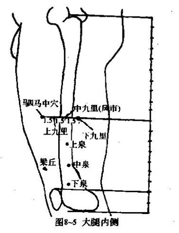 董氏奇穴(穴位图)