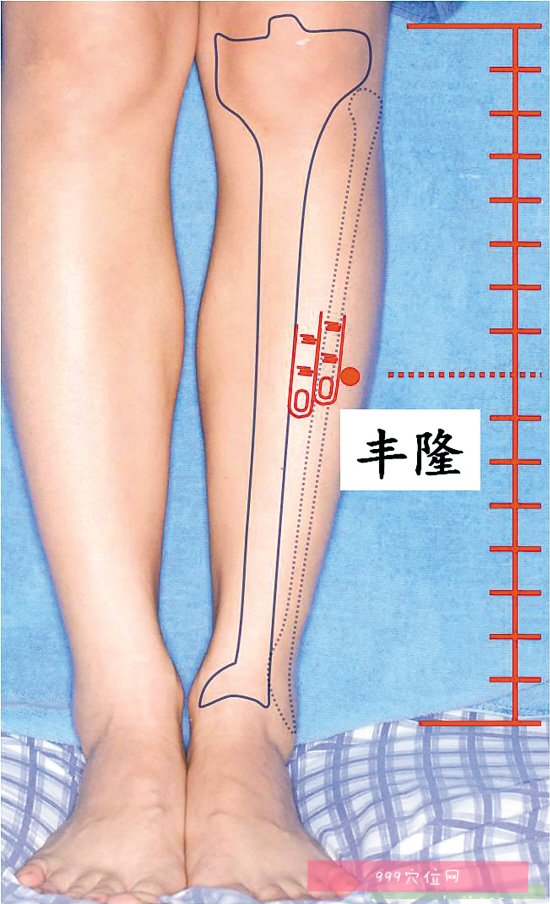 丰隆穴的准确位置图和作用,丰隆穴怎么找?