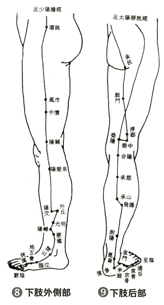 十四经的361个穴位