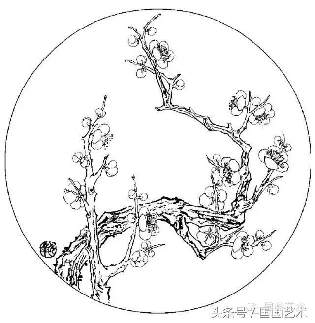 100幅白描梅花绘画手稿,练笔用